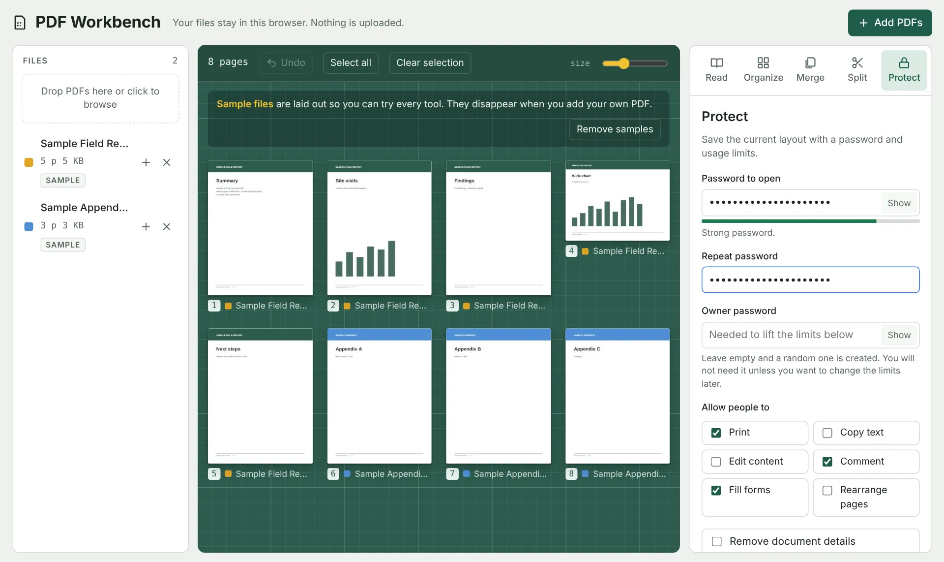 The Protect tab, with password fields and permission checkboxes